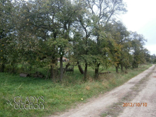 116_bukac_20121015_06.jpg