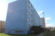 detail obrázku
