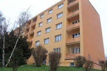 detail obrázku
